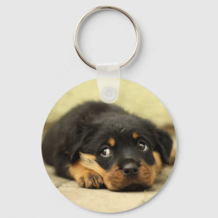Porte-clés Chien de chiot