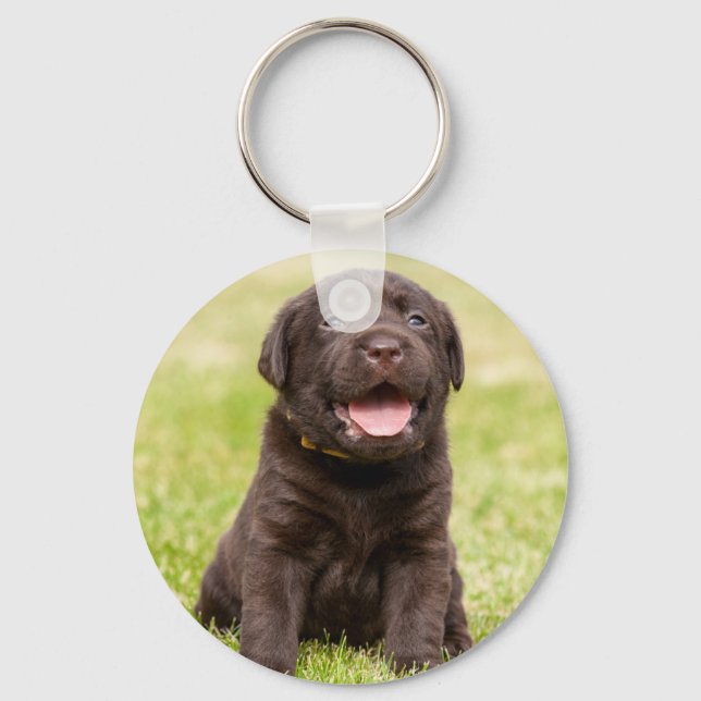 Porte-clés Chien de chiot mignon (Recto)