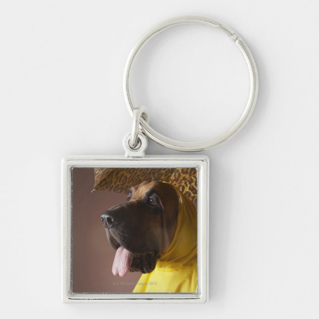 Porte-clés Chien de limier (Devant)