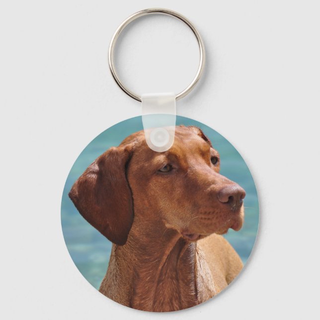 Porte-clés Chien de Magyar Vizsla (Recto)