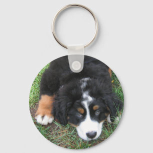 Porte-clés Chien de montagne bernois
