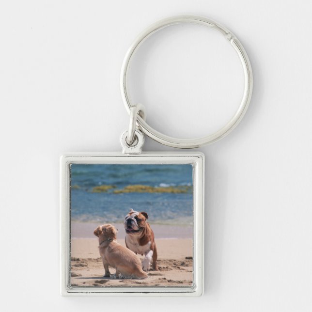 Porte-clés Chien de plage sablonneuse (Devant)