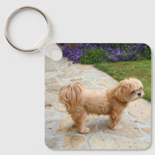 Porte-clés Chien de Red Lhasa Apso