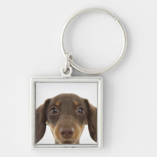 Porte-clés Chien de saucisse (brun) 2 (Devant)