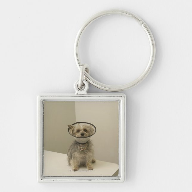 Porte-clés Chien de Terrier utilisant le collier protecteur (Devant)