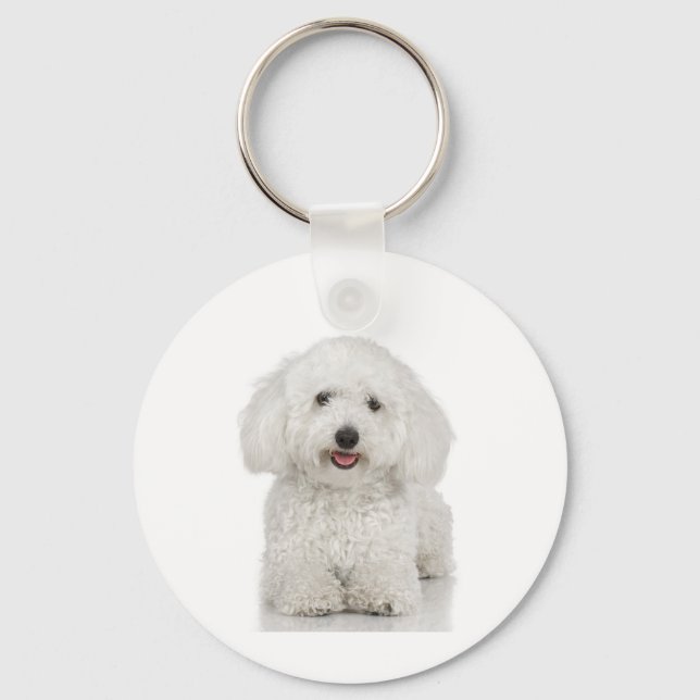 Porte-clés Chien maltais blanc (Recto)