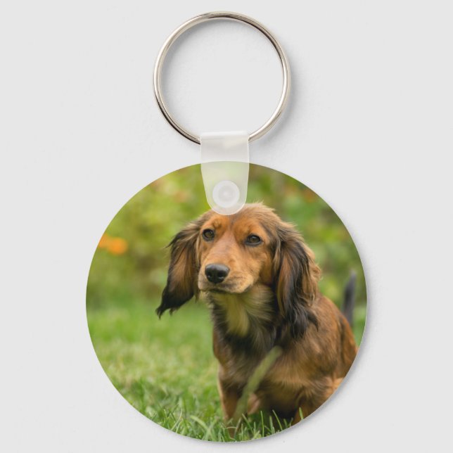 Porte-clés Chien mignon Dachshund (Recto)
