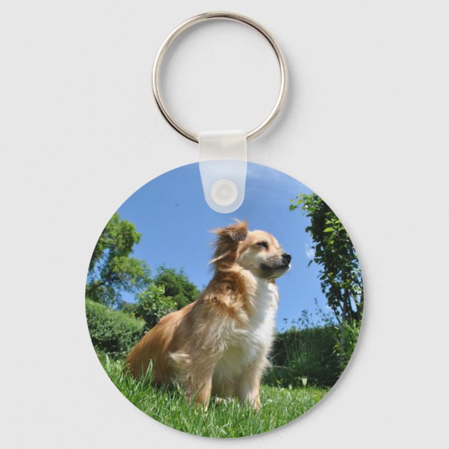 Porte-clés Chien mignon dans l'herbe (Recto)