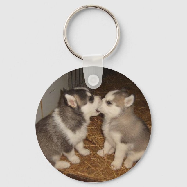 Porte-clés chien mordant chien bouche (Recto)