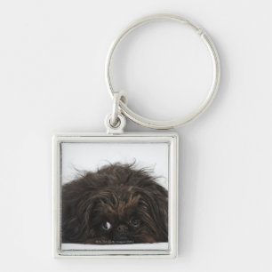 Porte-clés Chien noir de Pekingese se couchant