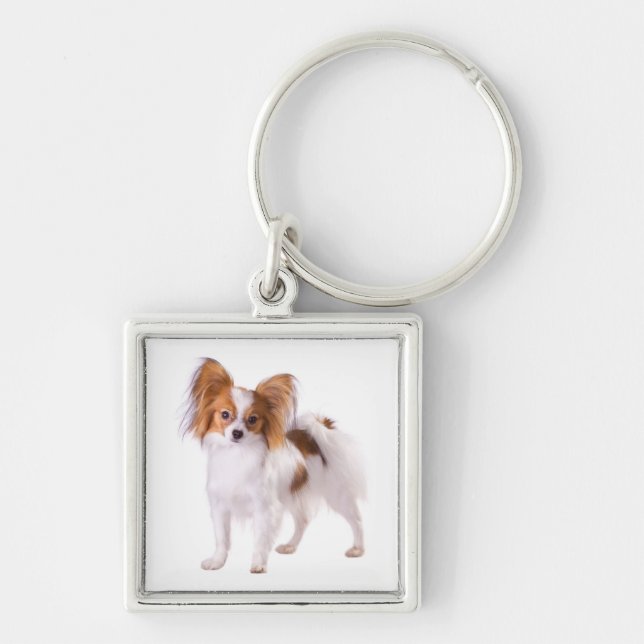 Porte-clés Chien Papillon Brun et Blanc Chiot (Devant)