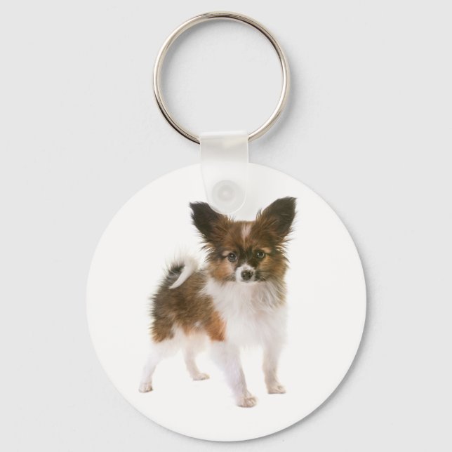 Porte-clés Chien Papillon Marron et Blanc (Recto)