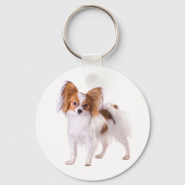 Porte-clés Chien Papillon Marron et Blanc (Recto)