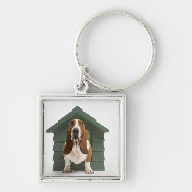 Porte-clés Chien par le chenil (Devant)