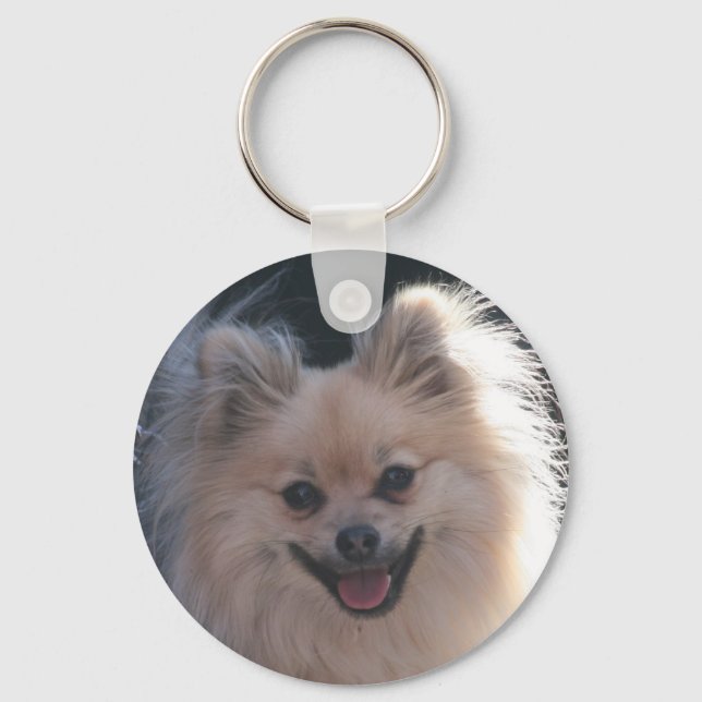 Porte-clés chien pomeranien moelleux (Recto)