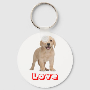 Porte-clés Chien Puppy Labrador Retriever Jaune Am