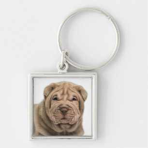Porte-clés Chien Puppy Shar Pei Chinois