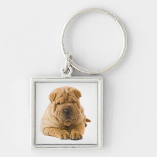 Porte-clés Chien Puppy Shar Pei Chinois Amour