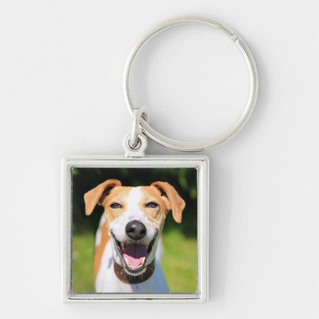 Porte-clés Chien riant des images | de Getty (Devant)