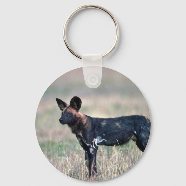 Porte-clés Chien sauvage africain (Recto)