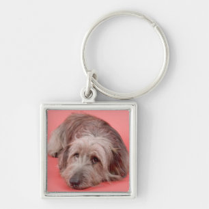 Porte-clés Chien se couchant