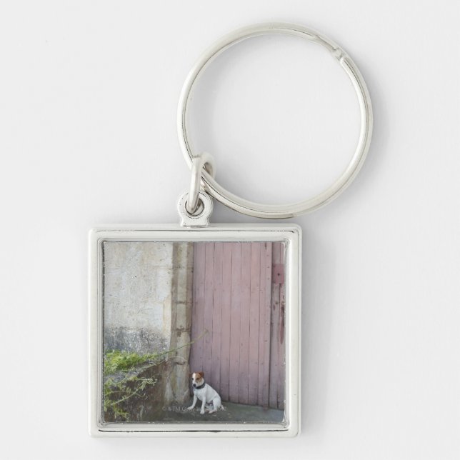 Porte-clés Chien se reposant devant les portes fermées (Devant)