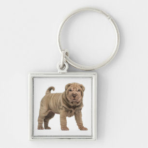 Porte-clés Chien Shar Pei Chinois Mignon
