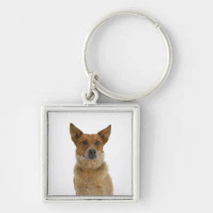 Porte-clés Chien sur le blanc 01