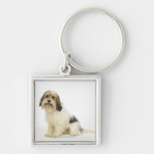 Porte-clés Chien sur le blanc 104