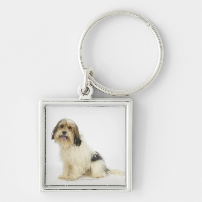 Porte-clés Chien sur le blanc 104 (Devant)