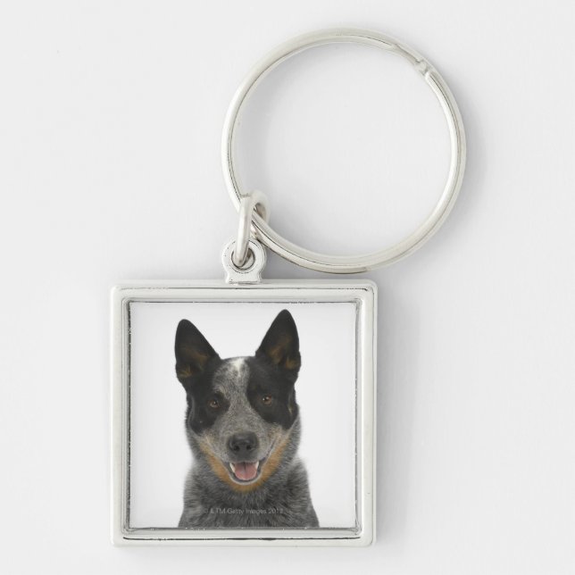 Porte-clés Chien sur le blanc 5 (Devant)