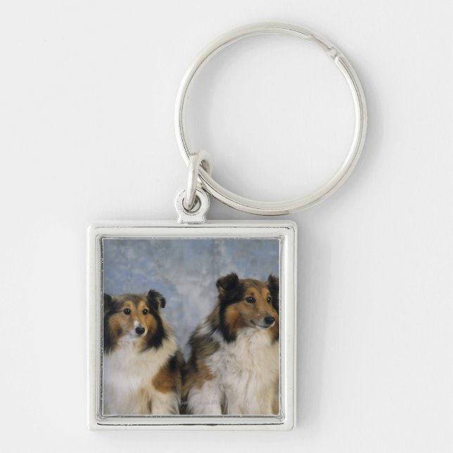 Porte-clés Chiens de berger de Shetland (Devant)