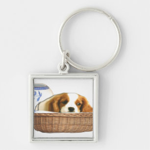 Porte-clés Chiens de chiots