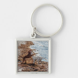 Porte-clés Chiens sur la plage