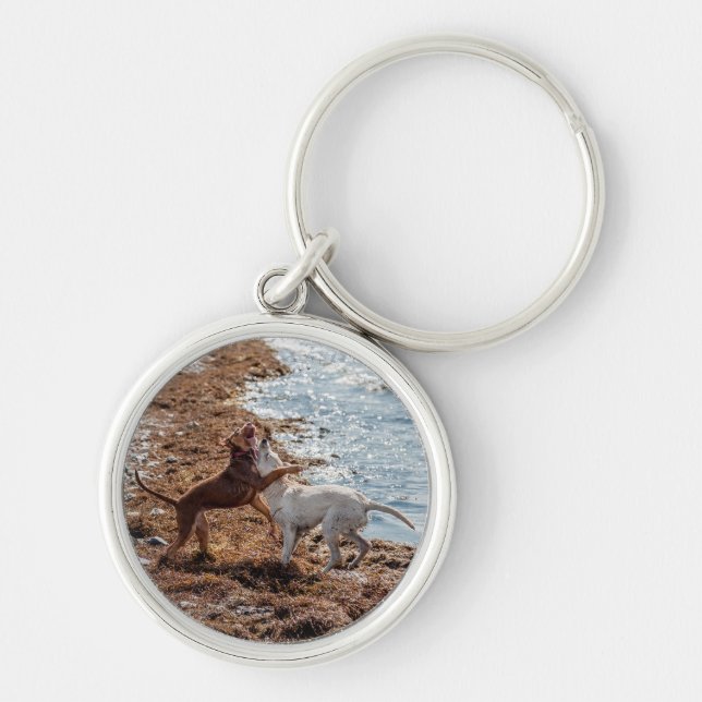 Porte-clés Chiens sur la plage (Devant)