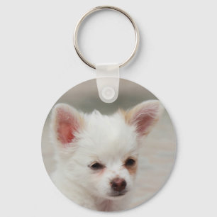 Porte-clés Chihuahua chippy dans un jardin