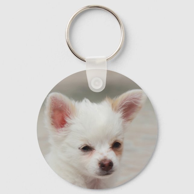 Porte-clés Chihuahua chippy dans un jardin (Recto)