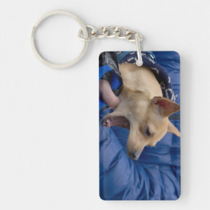 Porte-clés Chihuahua hurle