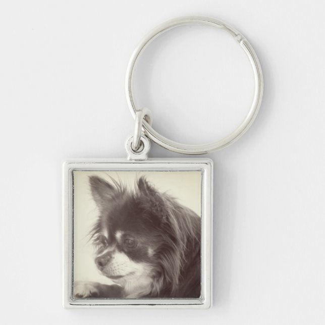 Porte-clés Chihuahua Portrait de chien (Devant)