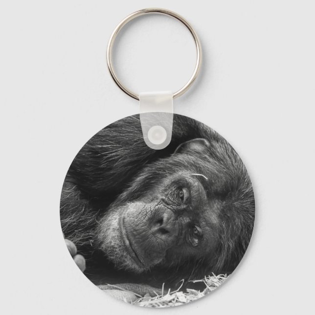 Porte-clés Chimpanzé (Recto)