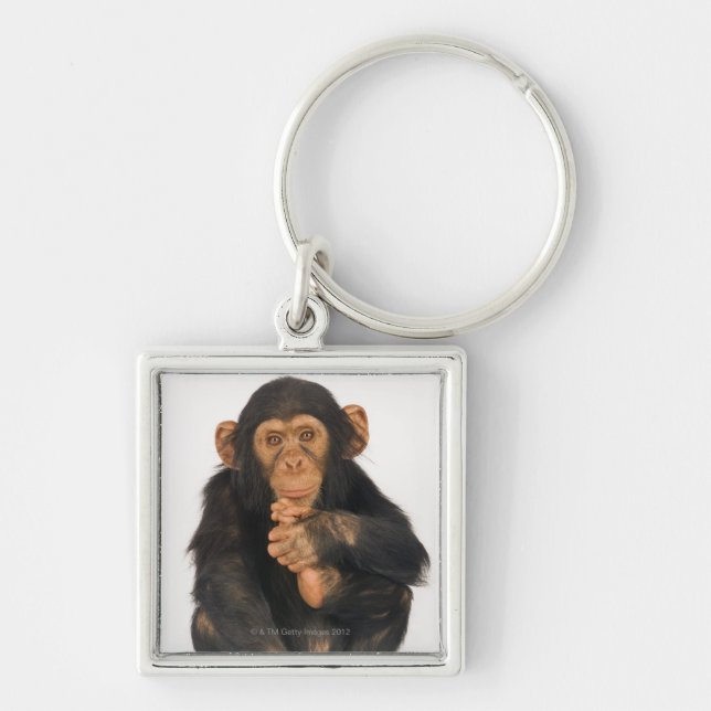 Porte-clés Chimpanzé (troglodytes de casserole). Jeune (Devant)