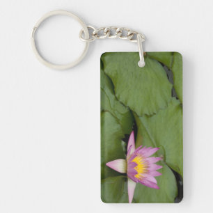 Porte-clés Chine, Hong Kong, Nouveaux Territoires. Chi Lin