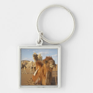 Porte-clés Chine, Mongolie intérieure, désert de Badain Jaran