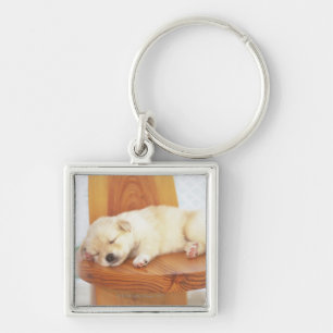 Porte-clés Chiot