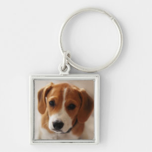 Porte-clés Chiot 2 de beagle