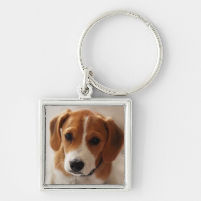 Porte-clés Chiot 2 de beagle (Devant)