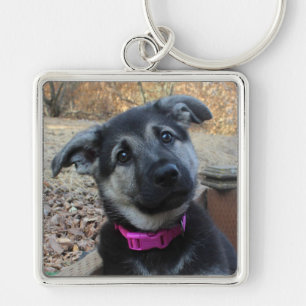 Porte-clés Chiot allemand avec Porte - clé d'oreilles de disq