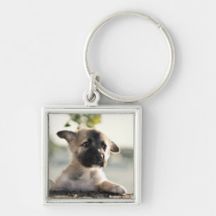 Porte-clés Chiot allemand sur la corniche