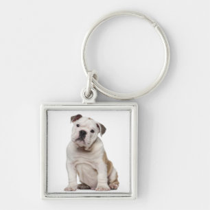 Porte-clés Chiot anglais de bouledogue (2 mois)