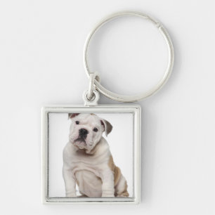 Porte-clés Chiot anglais de bouledogue (2 mois)